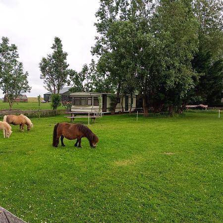 De Boerenskuur..Chalet.. Assendelft Zewnętrze zdjęcie